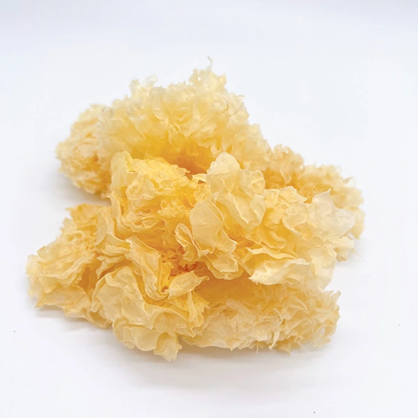 白木耳