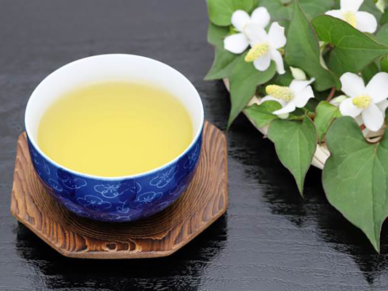 魚腥草茶