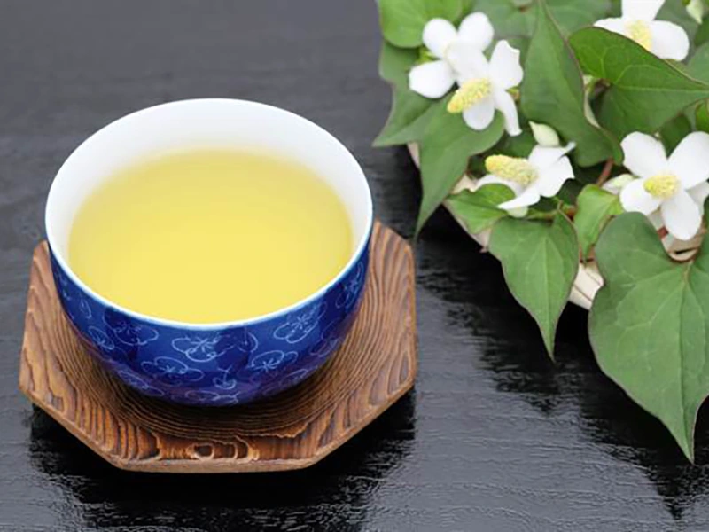 魚腥草茶